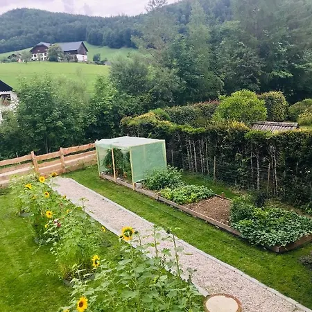 Bed & Breakfast Austria